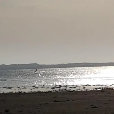 Insolite Vue Sur Le Ciel Etoile , Cuisine, Salle D Eau, 2 , Proche Du Zoo De La Palmyre ロッジ