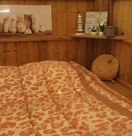 Insolite Vue Sur Le Ciel Etoile , Cuisine, Salle D Eau, 2 , Proche Du Zoo De La Palmyre