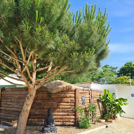 אכסניה Insolite Vue Sur Le Ciel Etoile , Cuisine, Salle D Eau, 2 , Proche Du Zoo De La Palmyre *