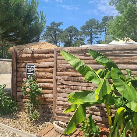 Insolite Vue Sur Le Ciel Etoile , Cuisine, Salle D Eau, 2 , Proche Du Zoo De La Palmyre