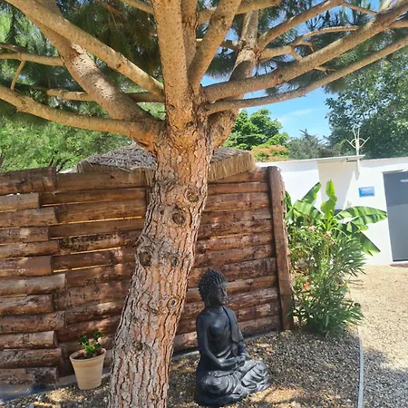 Insolite Vue Sur Le Ciel étoilé , Cuisine, Salle D Eau, 2 , Proche Du Zoo De La Palmyre * Les Mathes