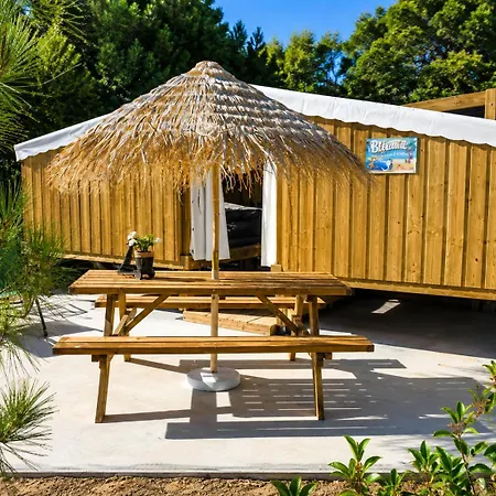 Insolite Vue Sur Le Ciel Etoile , Cuisine, Salle D Eau, 2 , Proche Du Zoo De La Palmyre Les Mathes